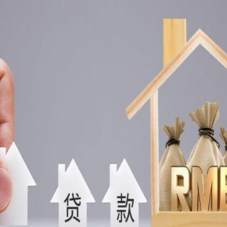 岭东贷款中介公司新渝启服如何
